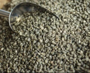 Read more about the article Kirim Green Bean ke Arab Saudi